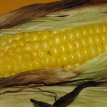 roasted-corn-2